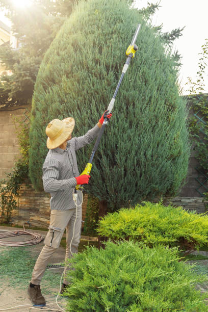 Best Lawn Edging Services  in Seadrift, TX